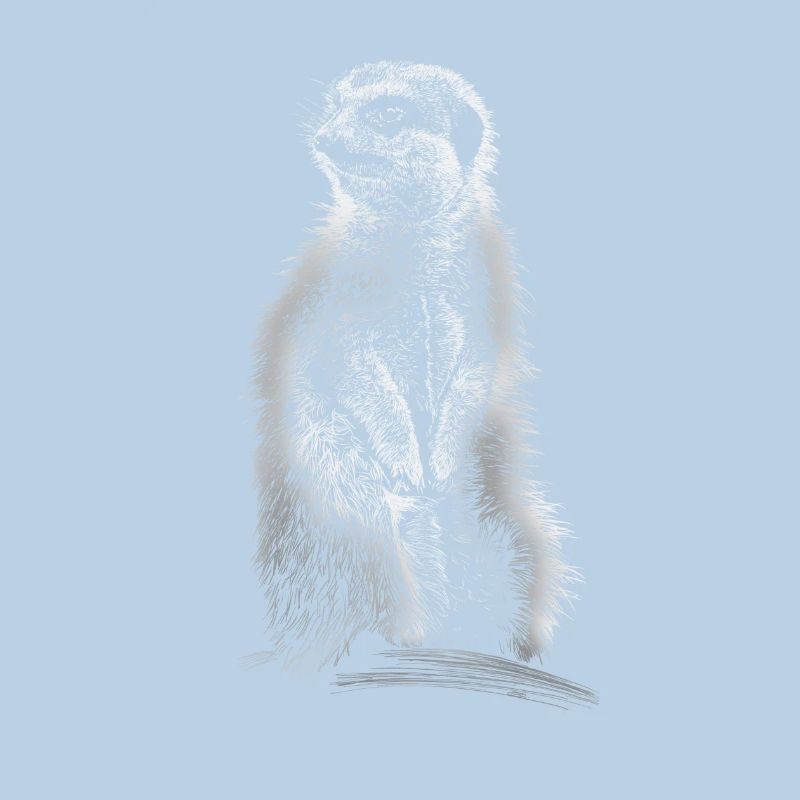 suricates