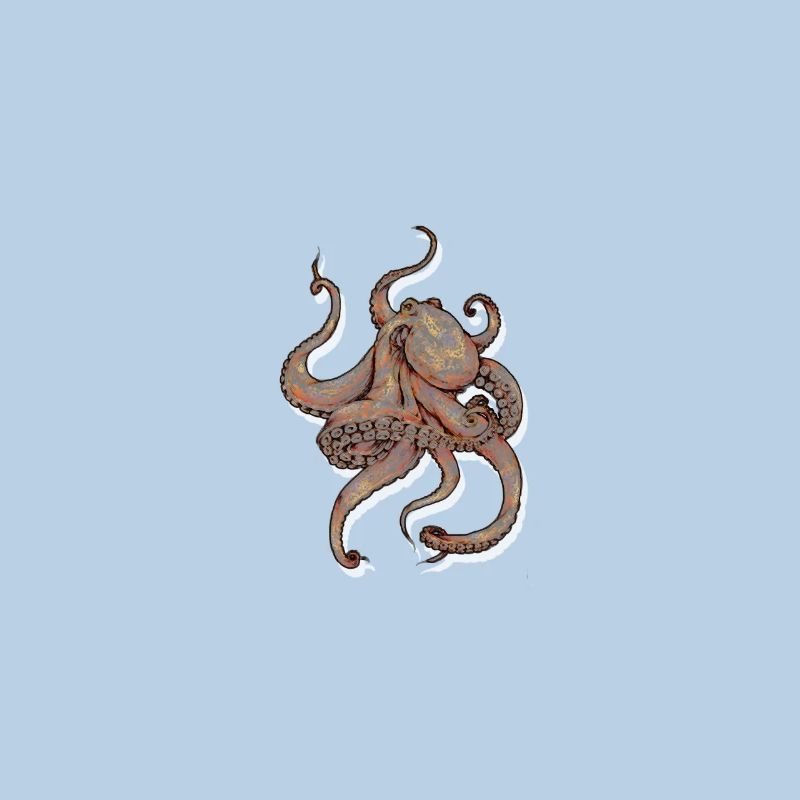 Octopus Octopoda Cuttlefish Squids Tentacle Gift