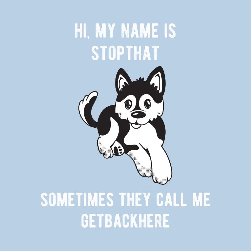 Mon nom est Stopthat Getbackhere Pomsky Hyper Dog