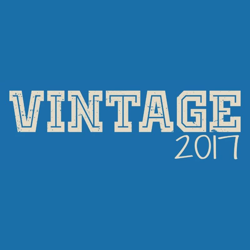 Vintage 2017 Original 2017 Retro 2017 Gift 2017