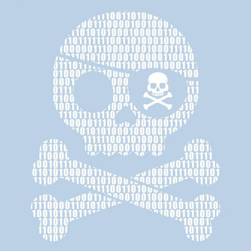 Digital Pirate Binary Code | Digital skull