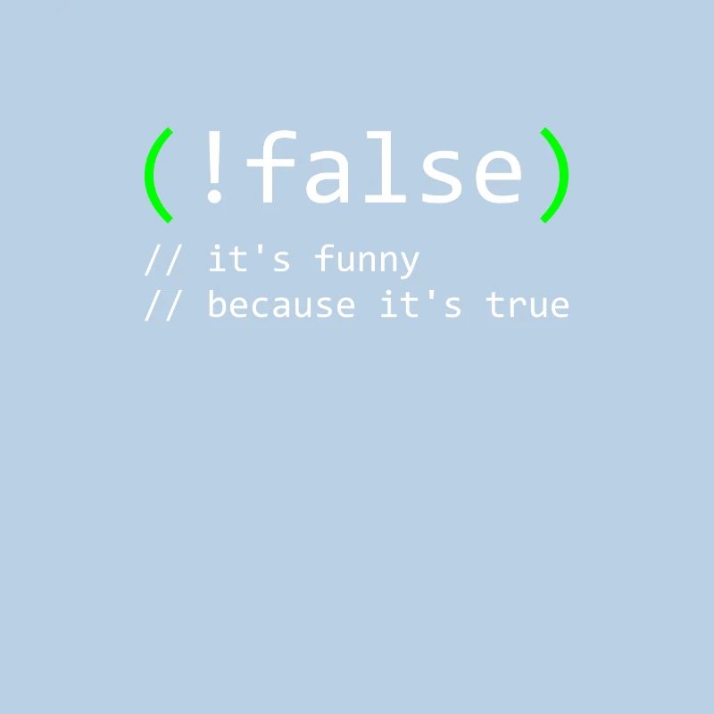 Programmierer Humor false true funny Nerd Geek