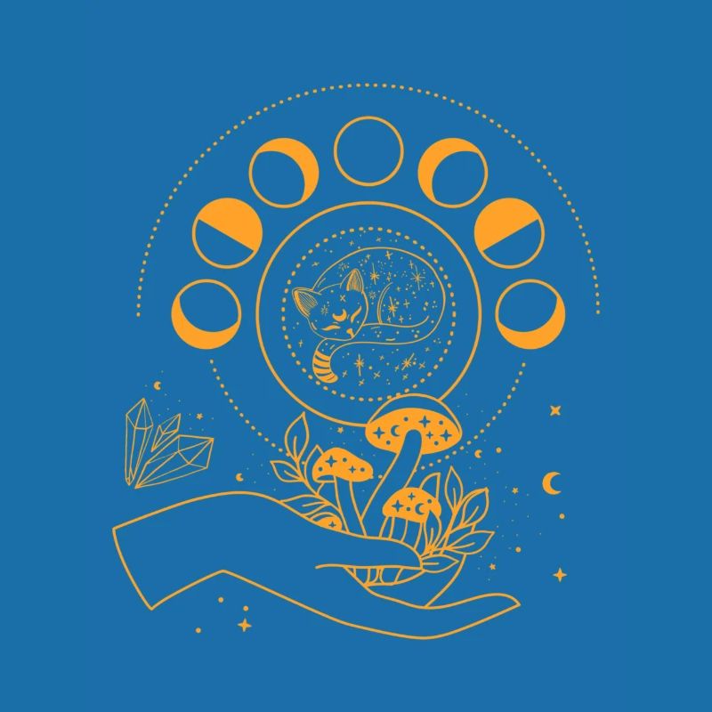 Esotericism, Cat, Moon Phase, Sun, Moon, Stars