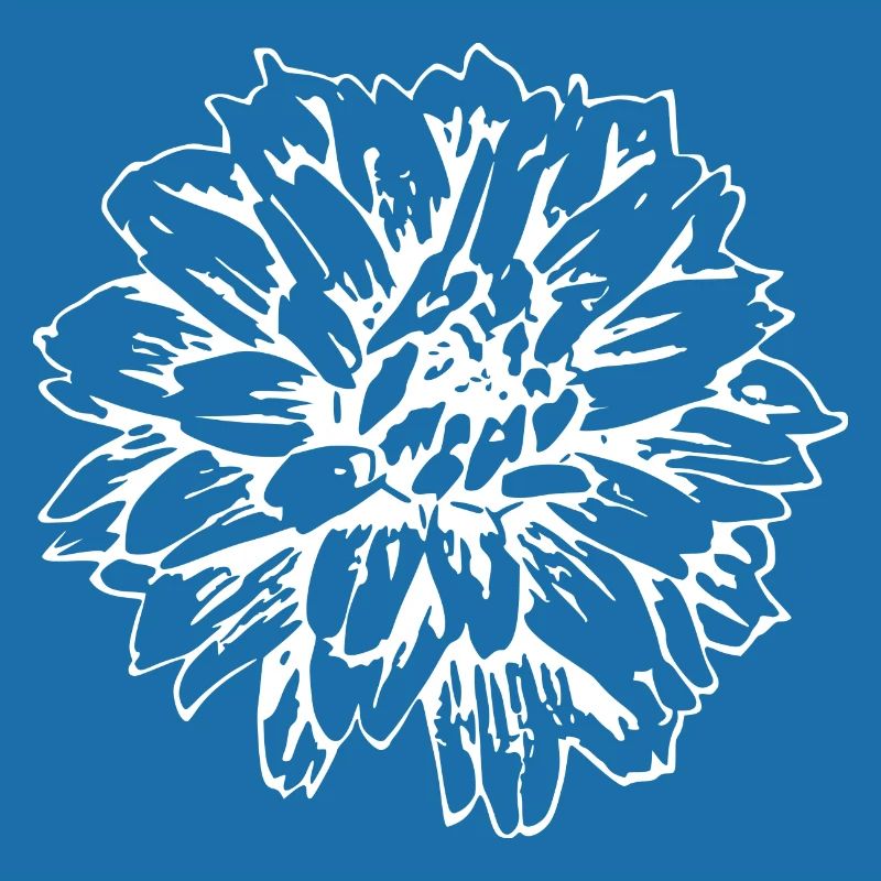 Fleur Blanche Fleurs Blanches Fleurs Blanches Fleurs Blanches