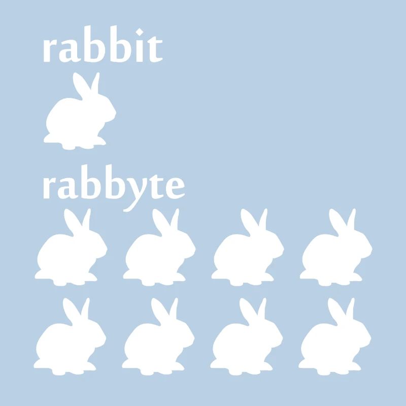 Programmierer Informatiker byte Rabbit Geschenk