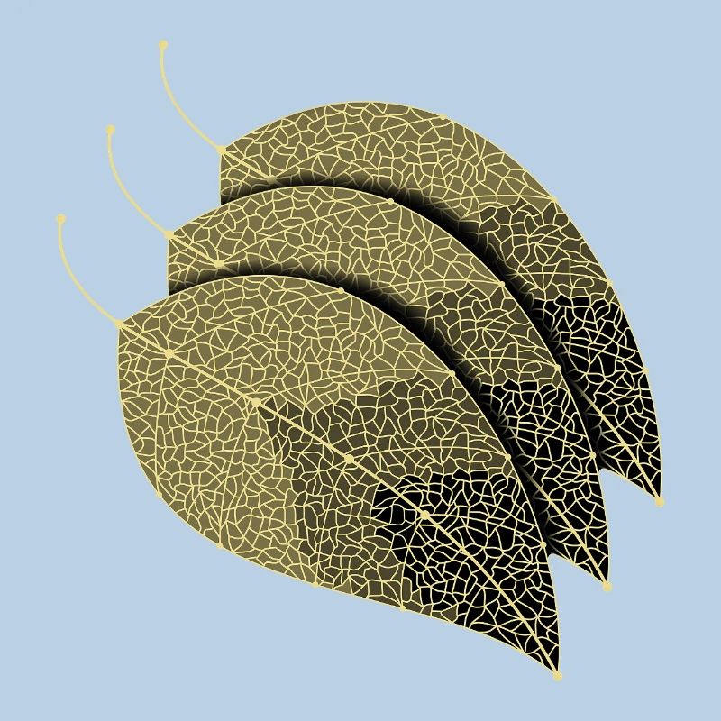 Leaves Decorative