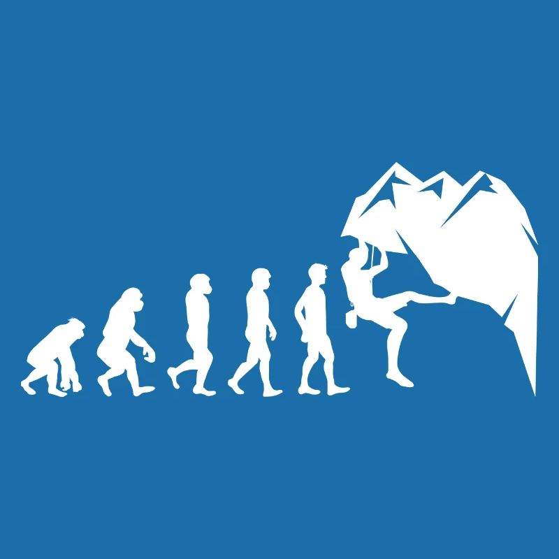 Escalade Bouldering Wall Climber Evolution