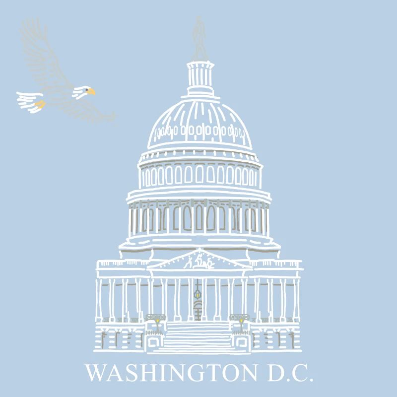 Washington D.C., Capitol Structure, Bald Eagle