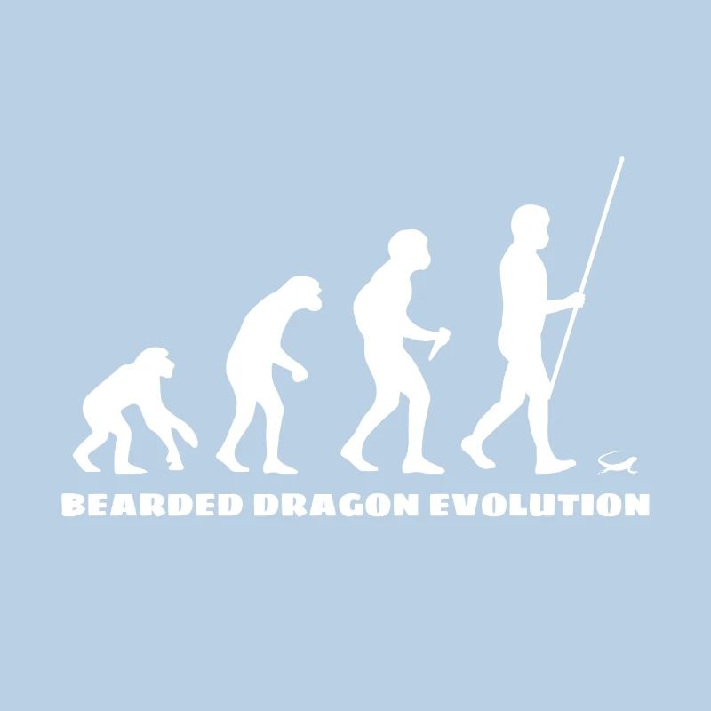Dragon barbu Bartagame Evolution