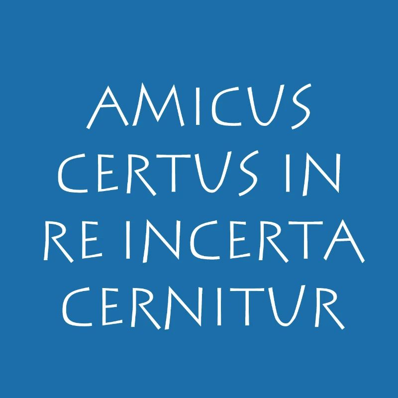Amicus certus in re incerta cernitur