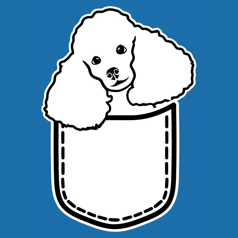 Poodle