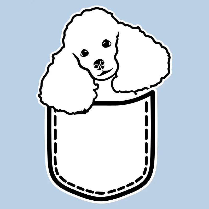 Caniche