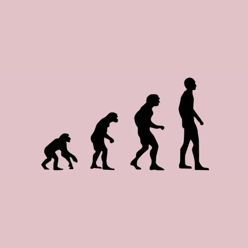 Evolution Mensch