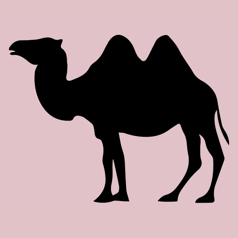 Kamel dromedar Kamel Geschenk