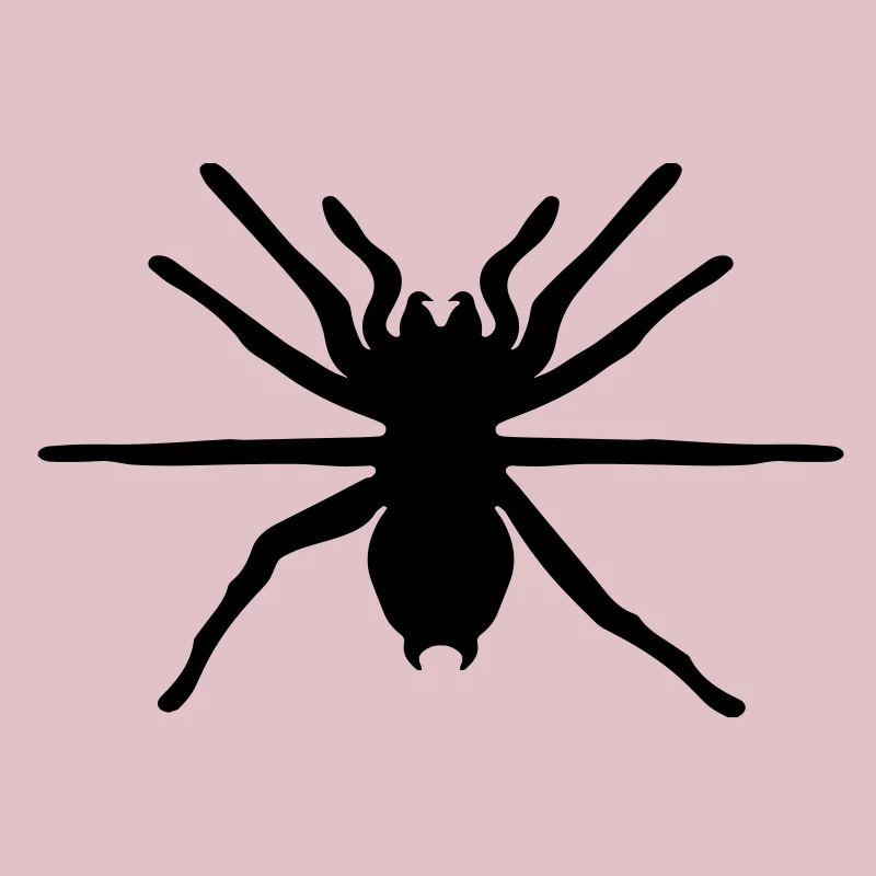 spinne