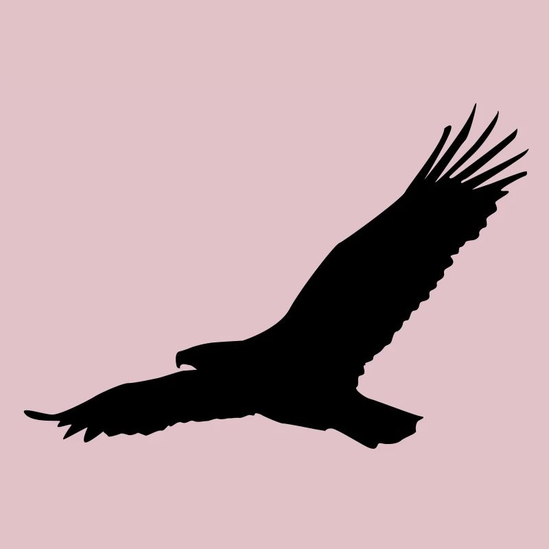 Aigle