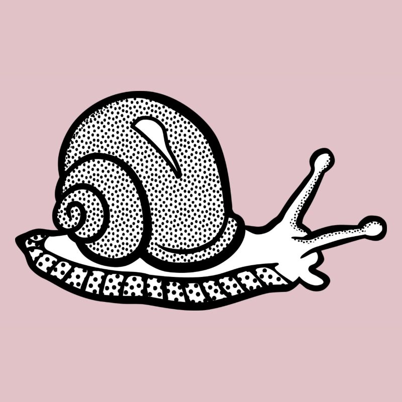 Snail black and withe
