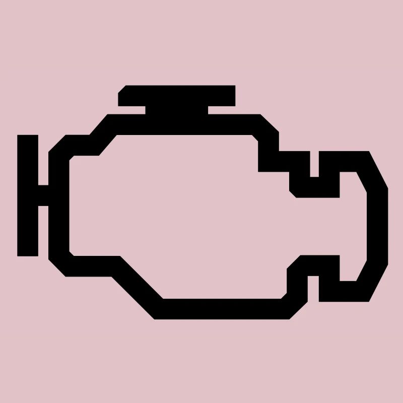 Check Engine Light