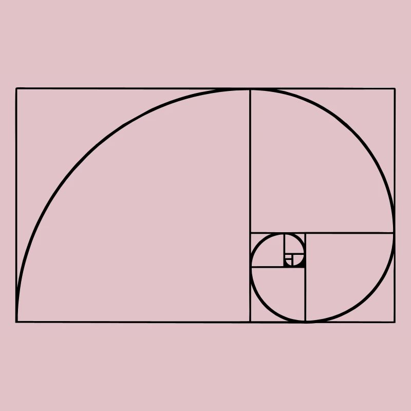 Spirale de Fibonacci, section doré, Phi, evolution