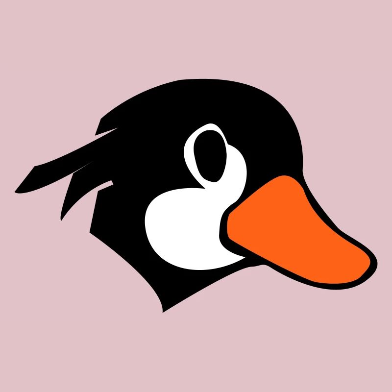 Canard comique