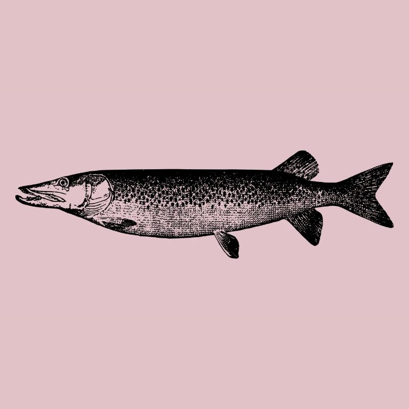 fish111