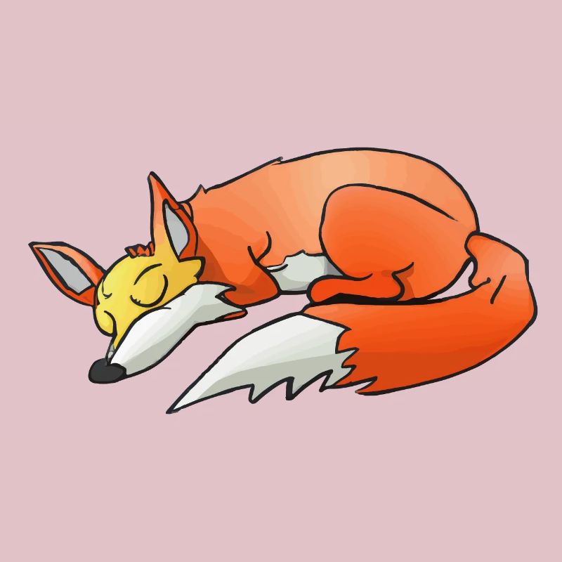 Sleeping Fox Sleeping Shirt Fox Lover