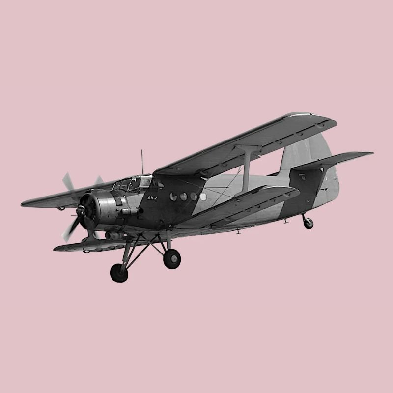 Flugzeug AN2 Doppeldecker Propeller Oldtimer