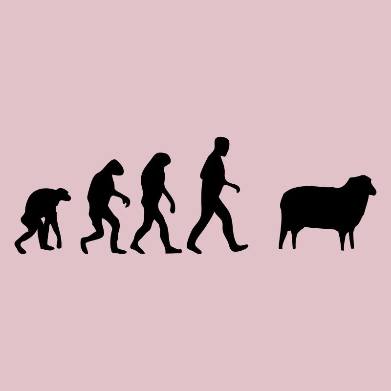 mouton evolution