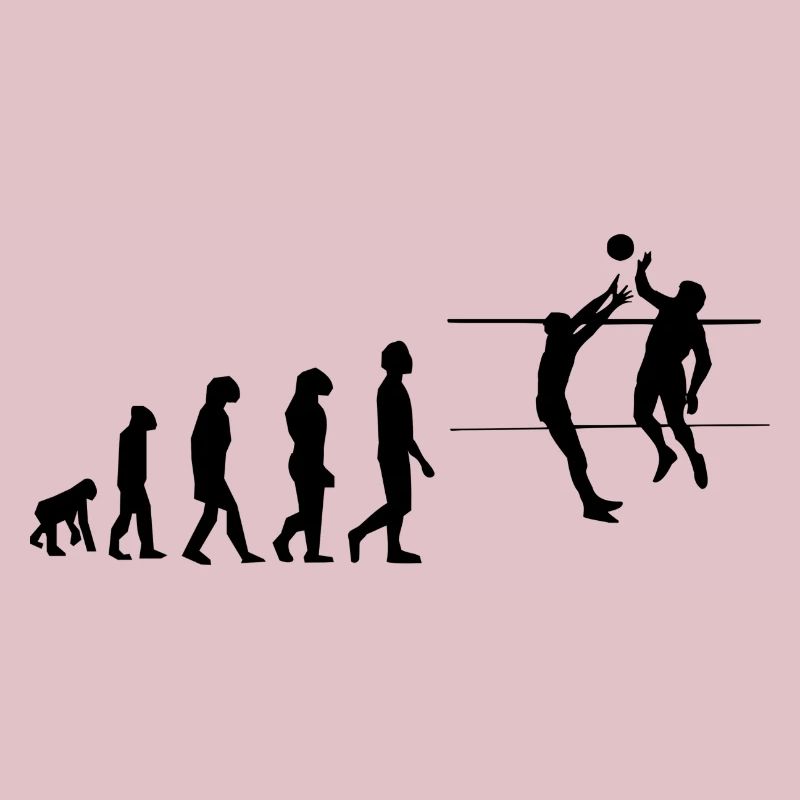 Volley évolution
