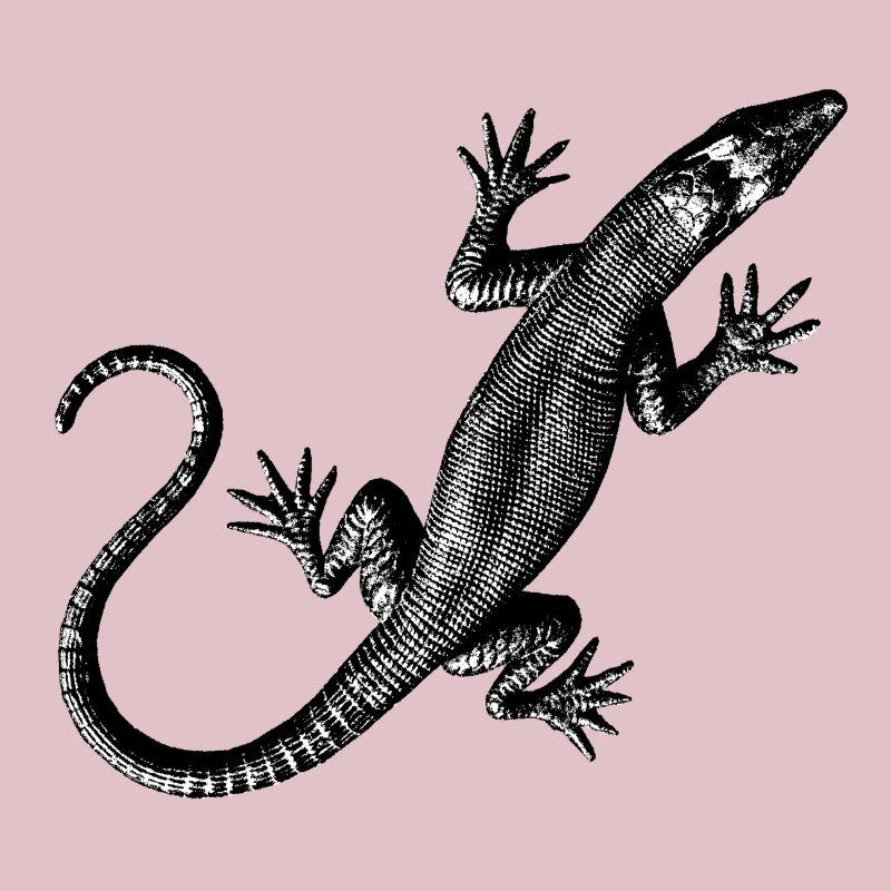 Grafik einer Eidechse