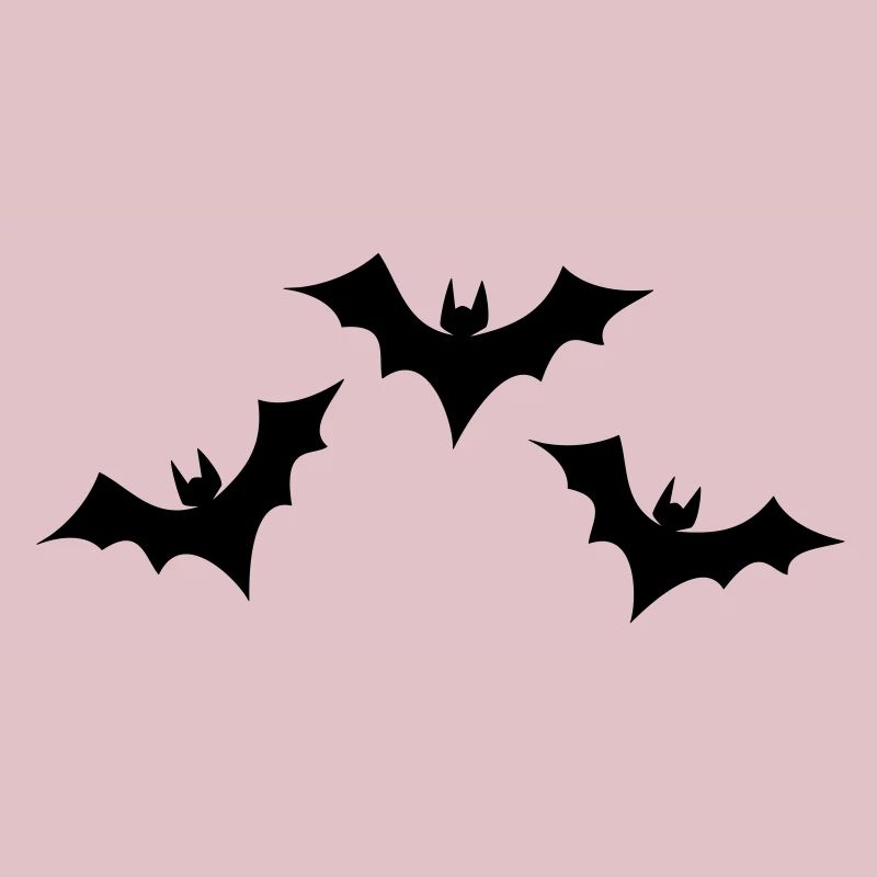 Fledermaus Formation