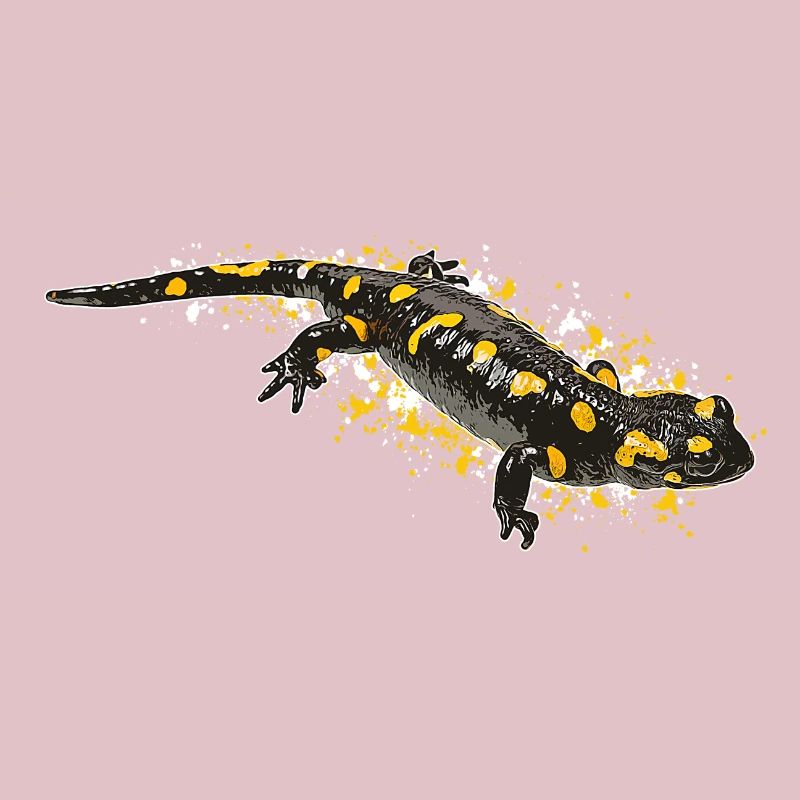 Fire Salamander Salamander