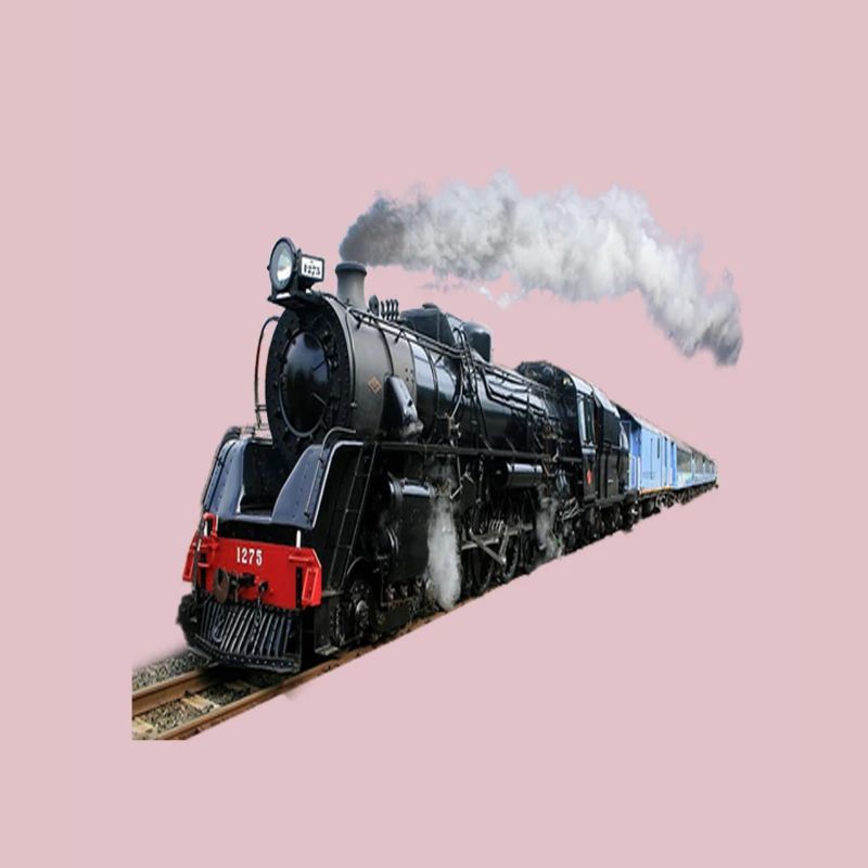 (Train)