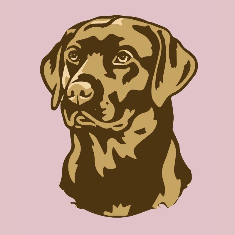 Evolution des Golden Retrievers