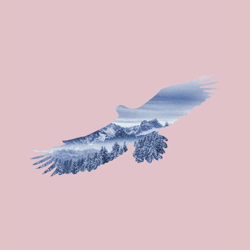 Soar like at Eagle