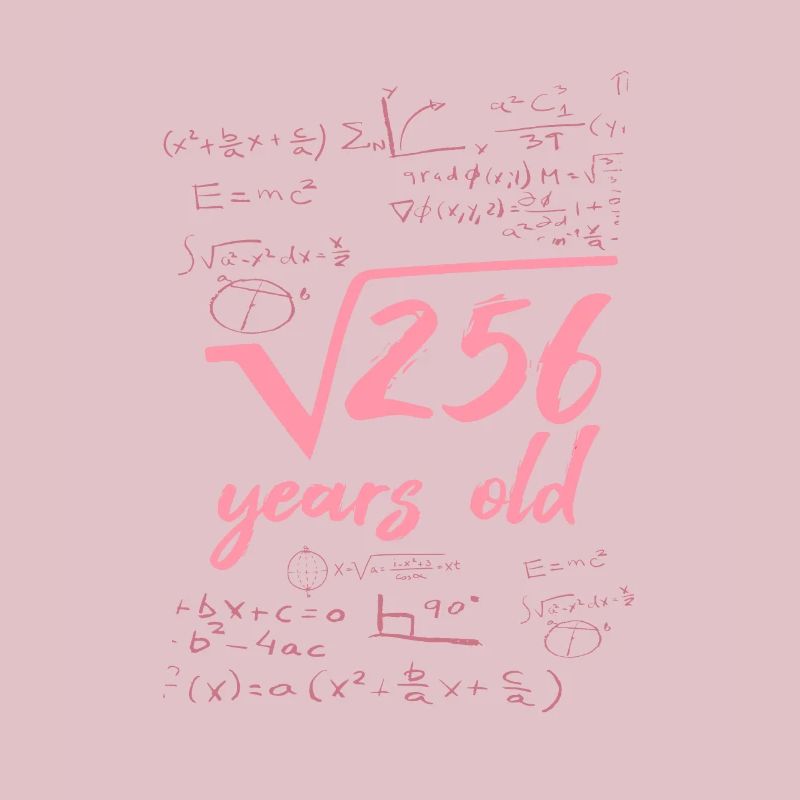 16 year old 16th birthday root from 256 math