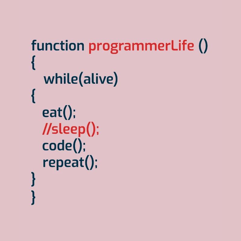Programmeur informatique Codeurs Software Engineers Gift