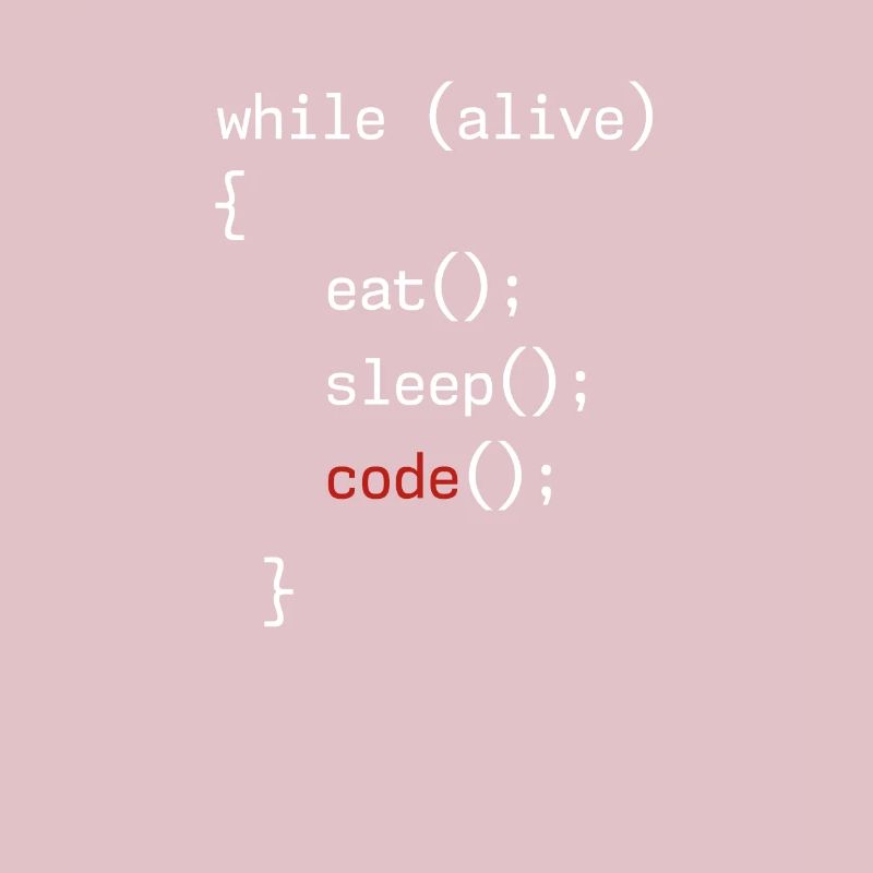 Administrateur Coding Geek Programmeur