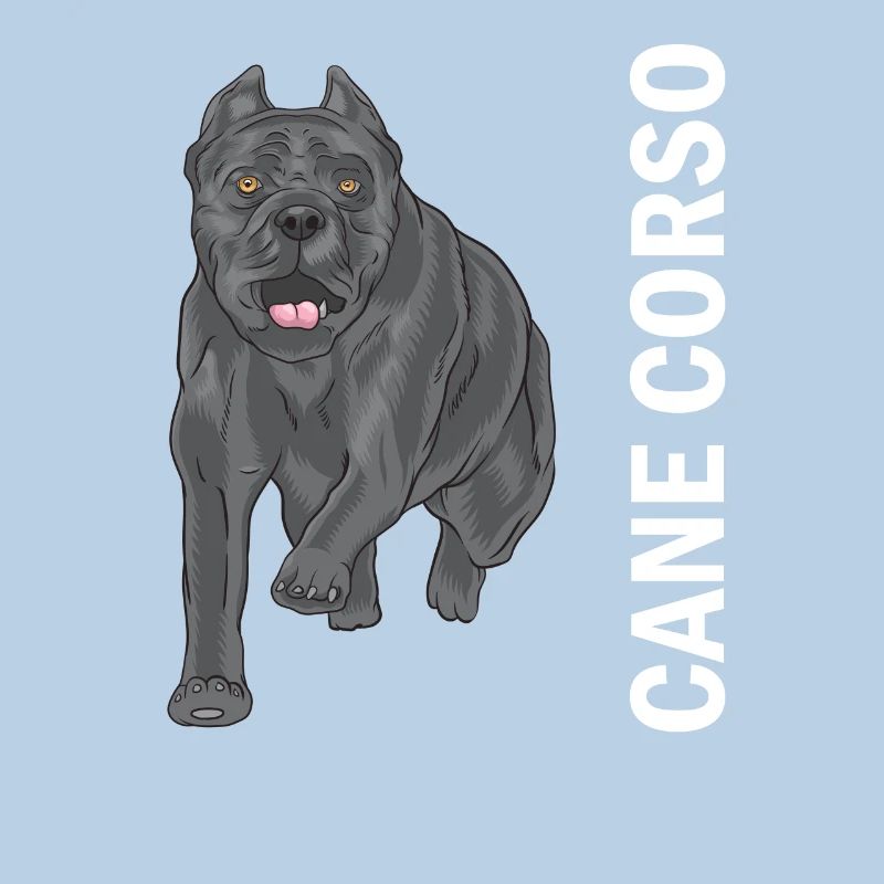 Cane Corso