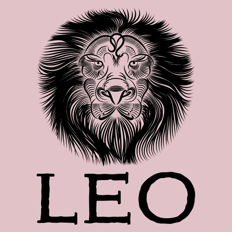 leo1s Zeichenfläche 1