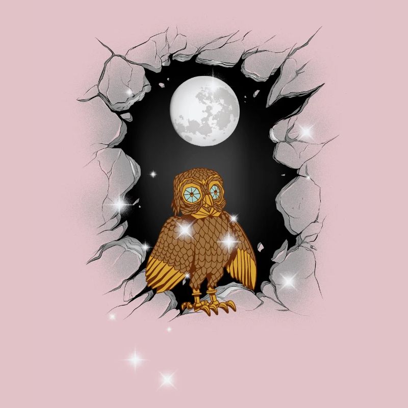 Eule Eulen Mond