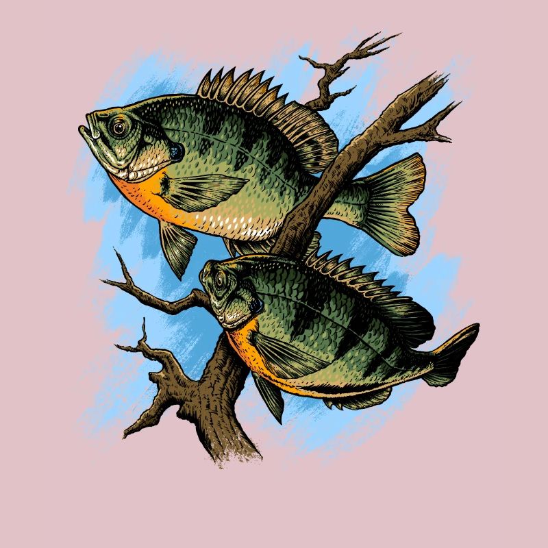 Crapet Arlequin Illustration Pêche Pullover conception