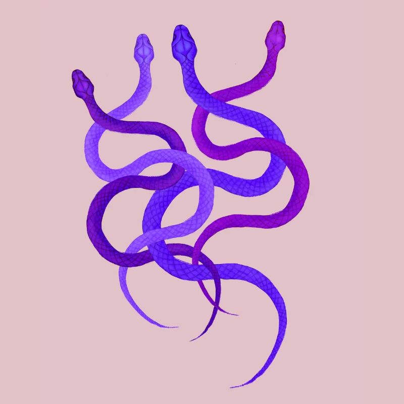 Einfaches Schlangendesign, 4 wilde Pythons