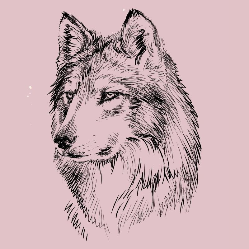 Wolf gift