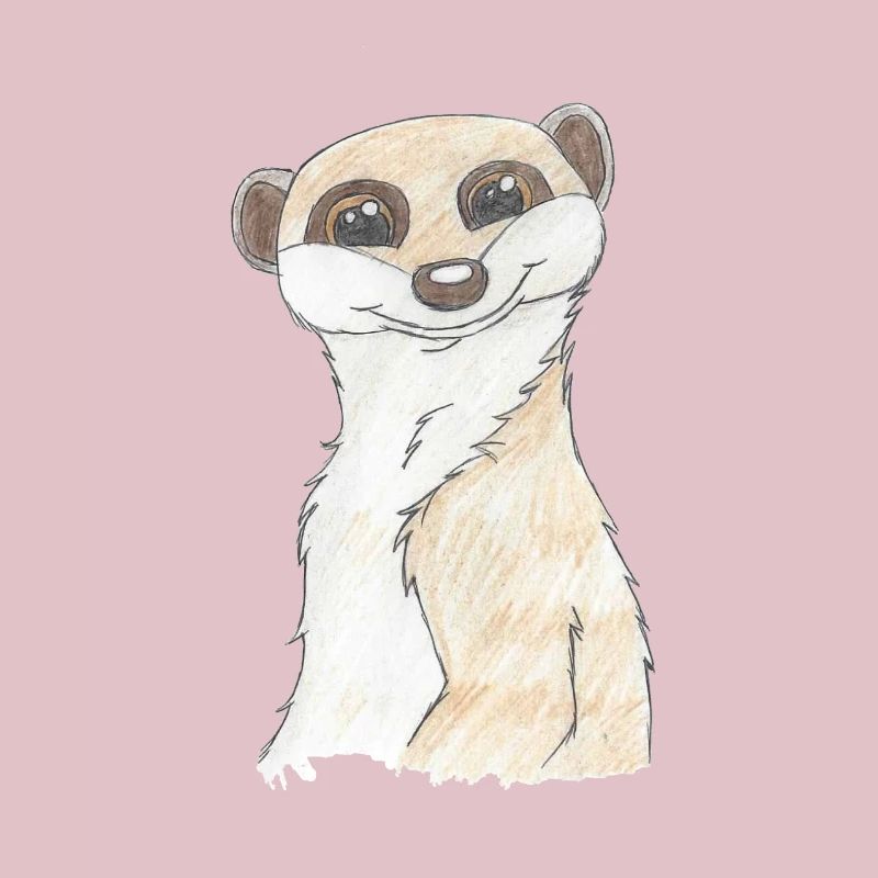 Erdmännchen