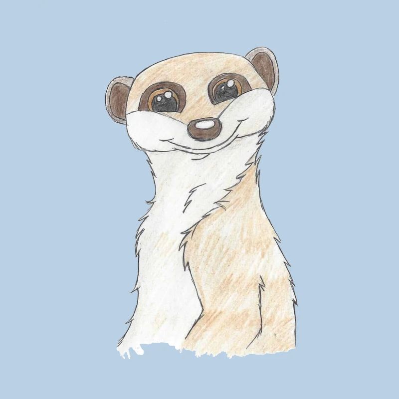suricates