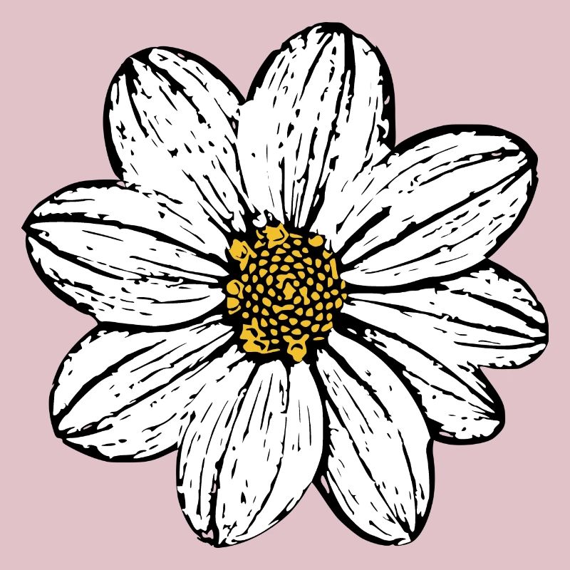 Fleur Fleurs Blanches Idées Cadeaux Noël