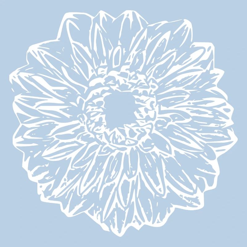 Fleur, Blanc, Fleur Blanche