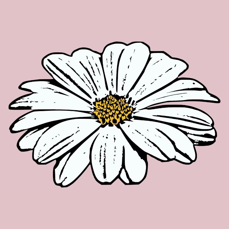 Fleur Blanche Fleurs Blanches Fleurs Blanches Fleurs Blanches