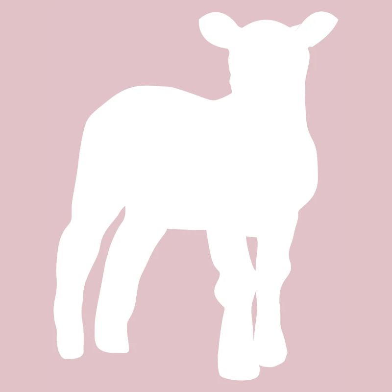 lamb